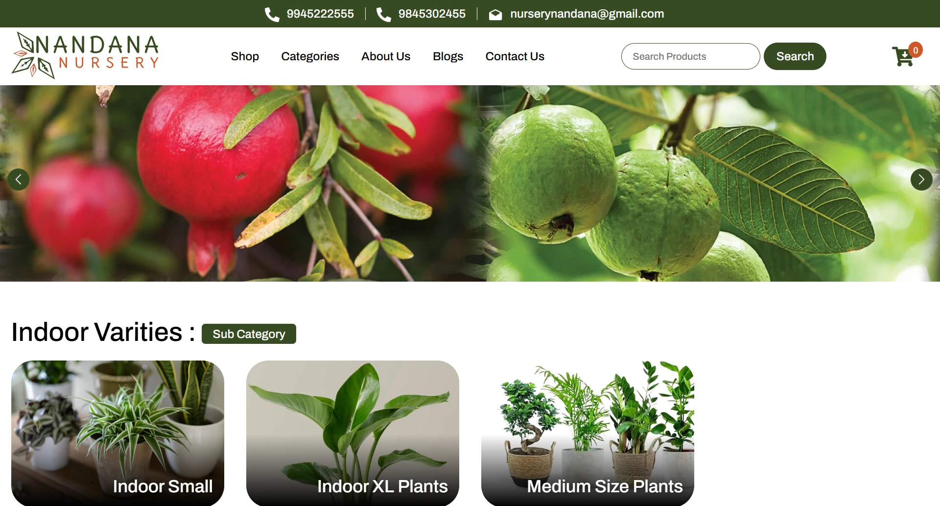 Nandana Nursery